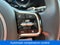 2024 Kia Carnival SX