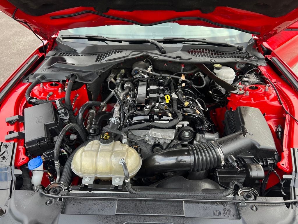 2023 Ford Mustang EcoBoost Premium