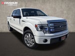 2013 Ford F-150 Platinum